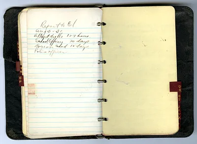 p. 15