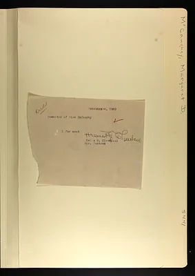 p. 4