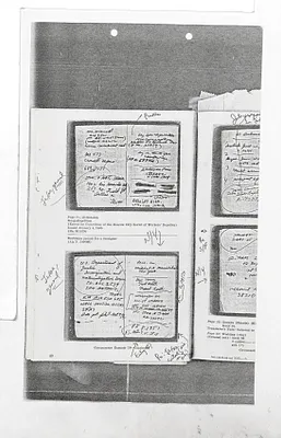 p. 8