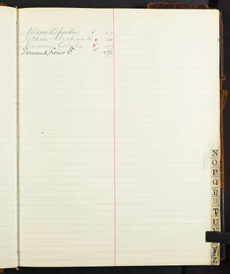 p. 20