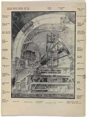p. 9