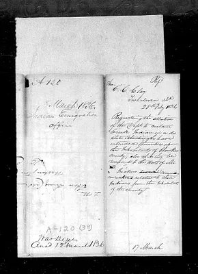p. 8