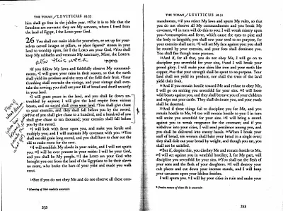 p. 49