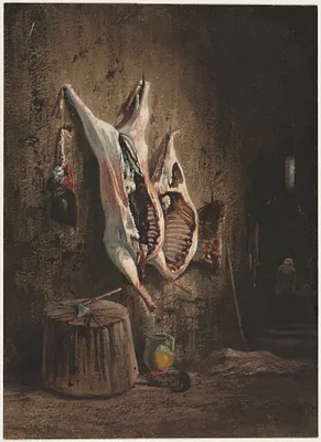 Carcasses