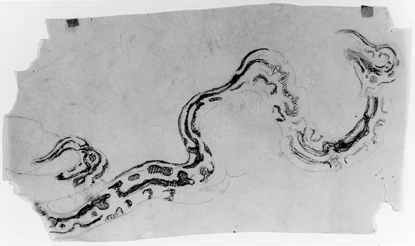 Tracing of a Snake's Skin