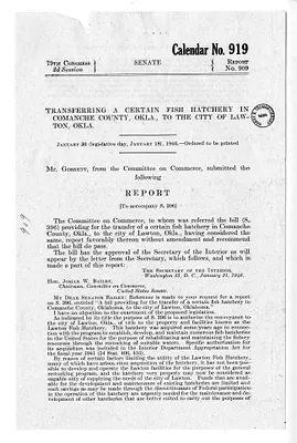p. 13