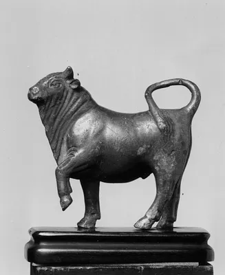 Bull