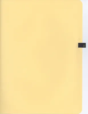 p. 41