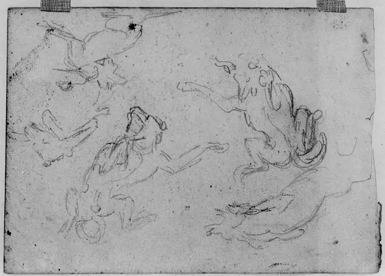 Studies of Lions after Rubens