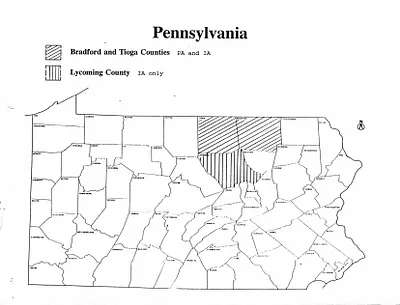 p. 51
