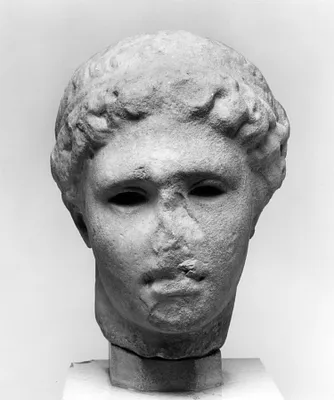 Head of a Youth