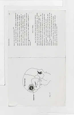 p. 31