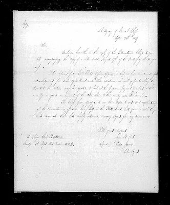 p. 11