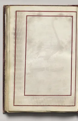Border, folio 42 (verso), from Florilegium (A Book of Flower Studies)