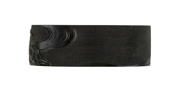 Fuchi with Diving Duck