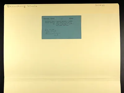 p. 3