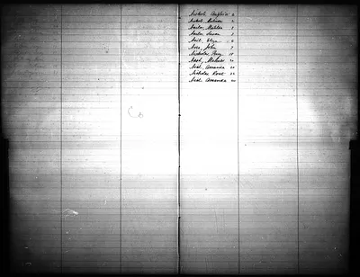 p. 43
