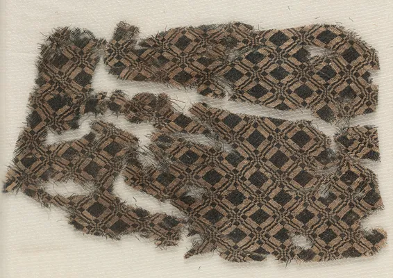 Silk Fragment