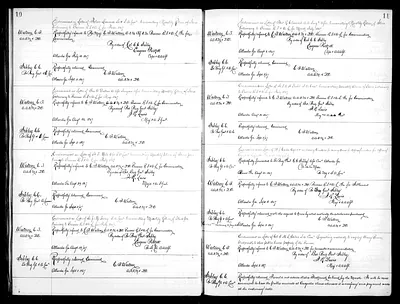 p. 31