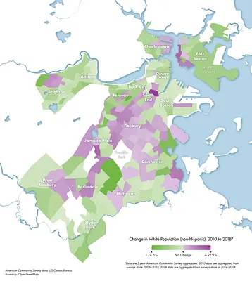 Change in white population (non-Hispanic), 2010 to 2018
