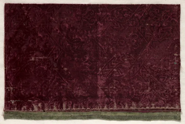 Fragment of Stamped Velvet