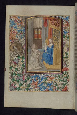 Lactation of St. Bernard
