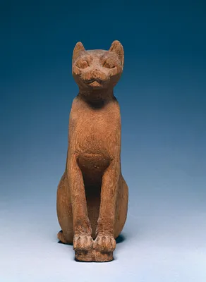 Cat Coffin