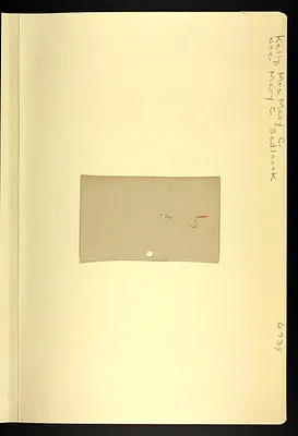 p. 7