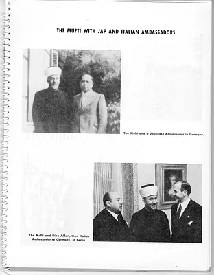 p. 41