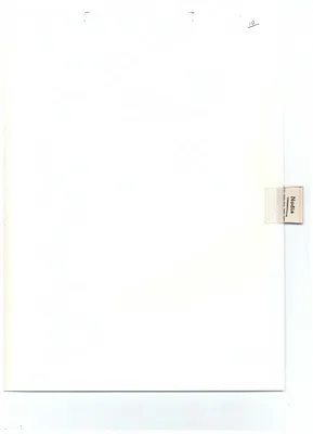 p. 20