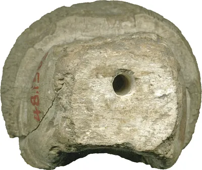 p. 6