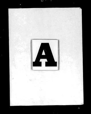 p. 4