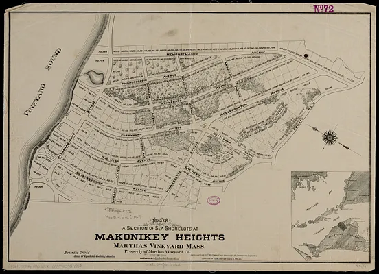 Plan of a section of sea shore lots at Makonikey Heights Marthas Vineyard Mass.