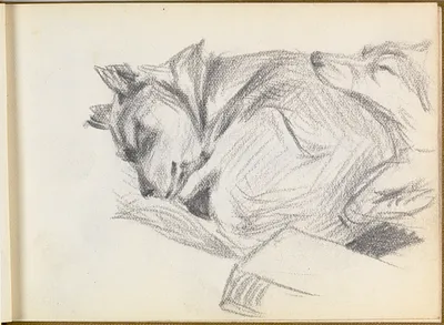 p. 8