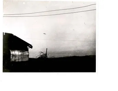 p. 15
