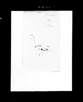 p. 30