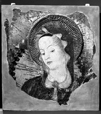 Head of the Madonna