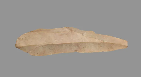 Sickle Blade