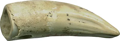 p. 1