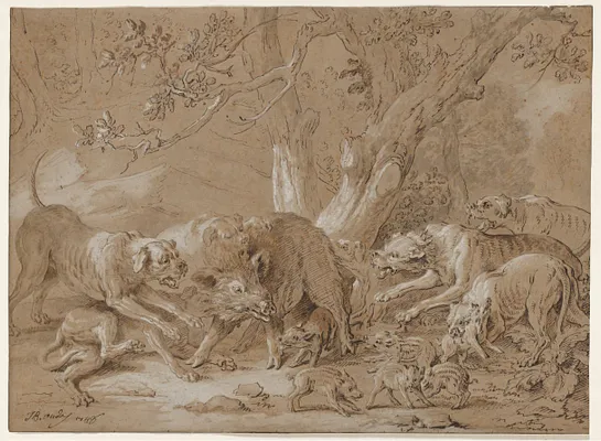 Wild Sow and Her Young Attacked by Dogs