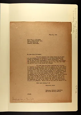 p. 33