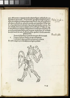 p. 41