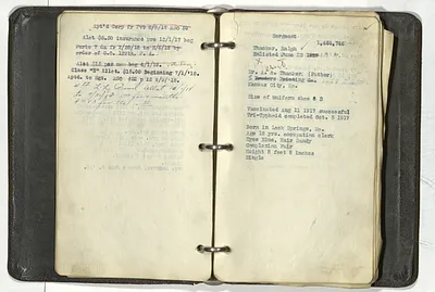 p. 15