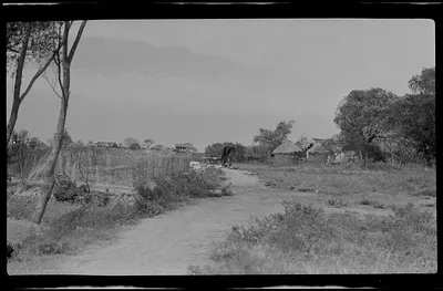 Village scene
