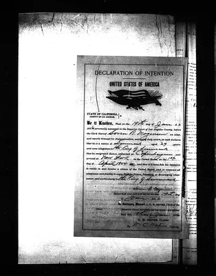 p. 51