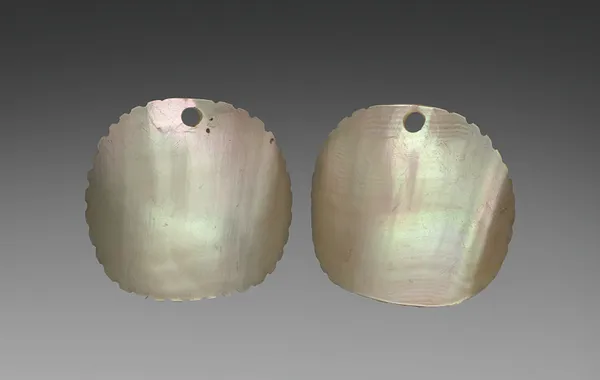 Pair of Earrings