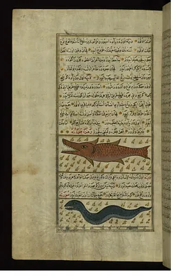 Two Fish from the Vaynah (Vinah?) Seas