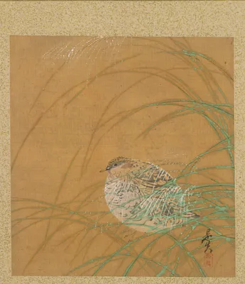 Quail in Grass from Album of Paintings by the Venerable Zeshin