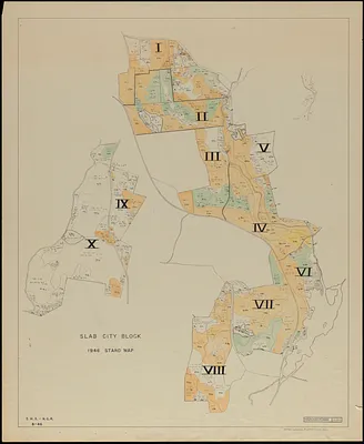 Slab City Block 1946 Stand Map Open Areas, Plantations and Other Land