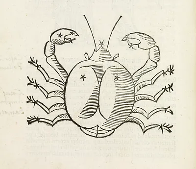 p. 15